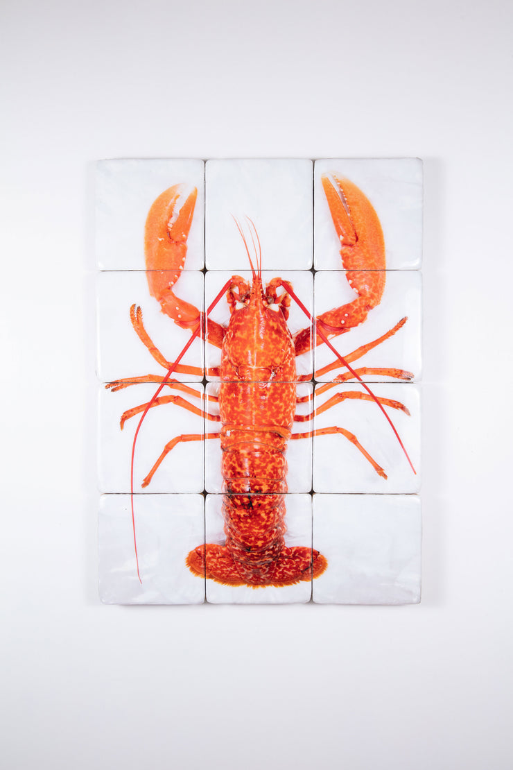 Cooked Portugese lobster (60cm x 80cm)