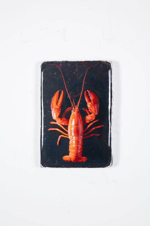 Cooked canner lobster on black (20cm x 29cm)