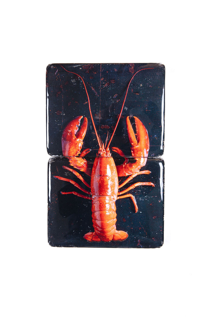 Cooked canner lobster on black (24cm x 40cm)