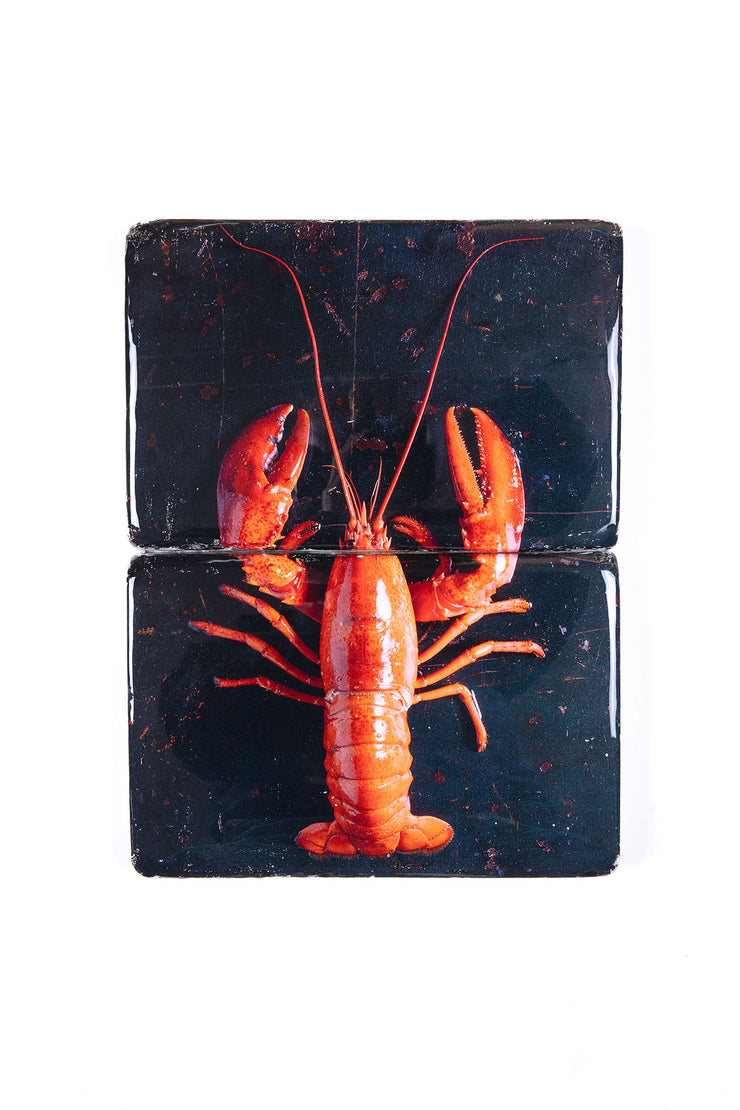 Cooked canner lobster on black (29cm x 40cm)