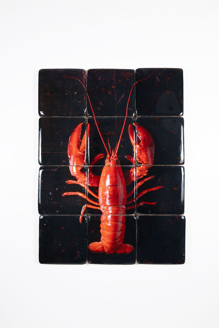 Cooked canner lobster on black (60cm x 80cm)