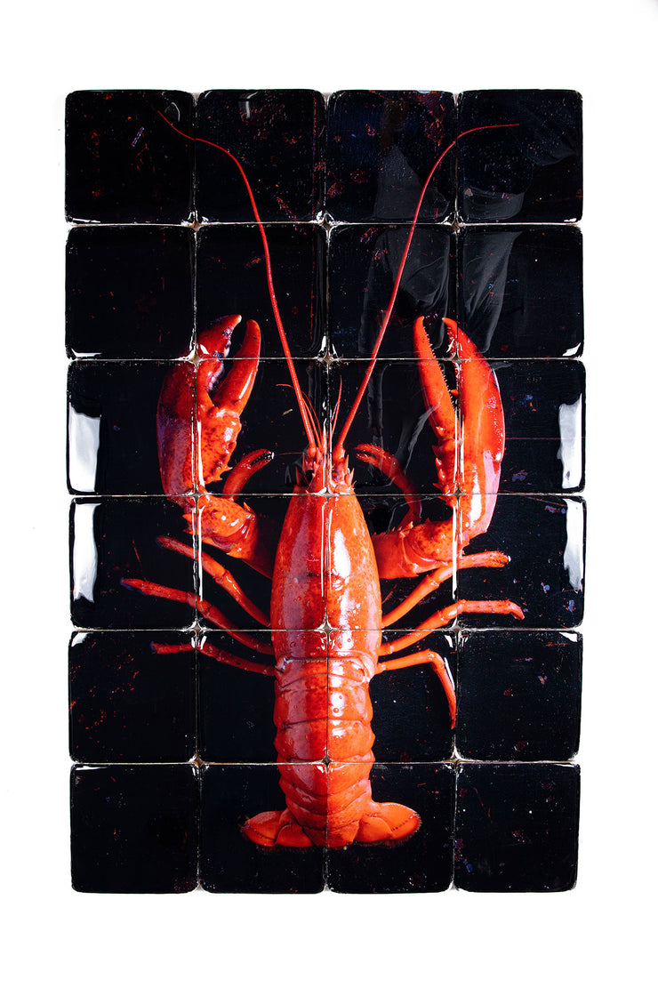 Cooked canner lobsters on black (80cm x 120cm)