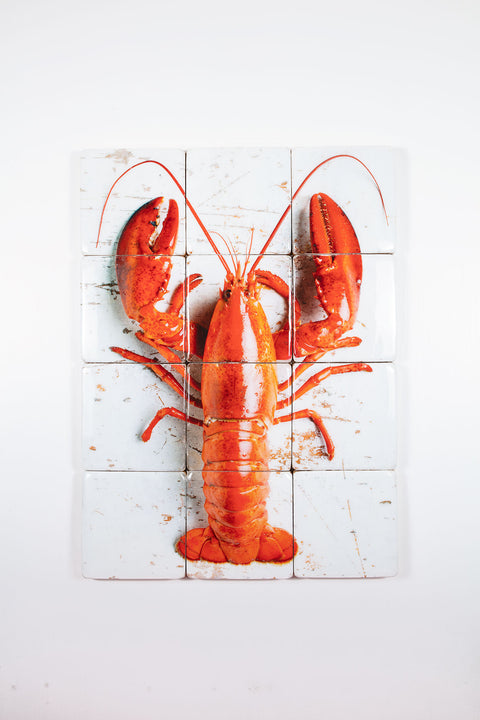 Cooked canner lobster on white (60cm x 80cm)