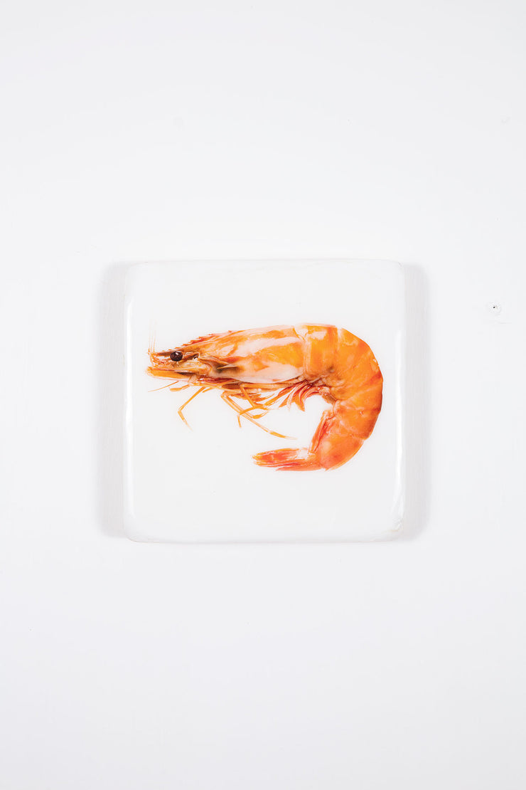 Cooked giant shrimp (20cm x 20cm)