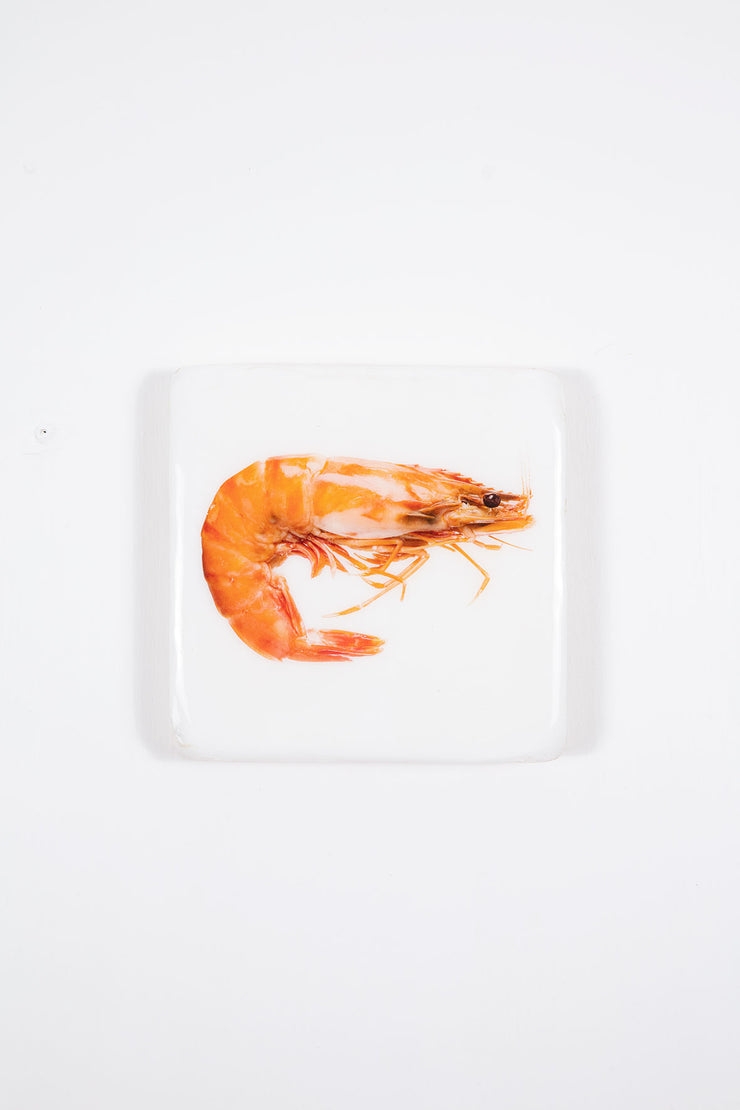 Cooked giant shrimp (20cm x 20cm)