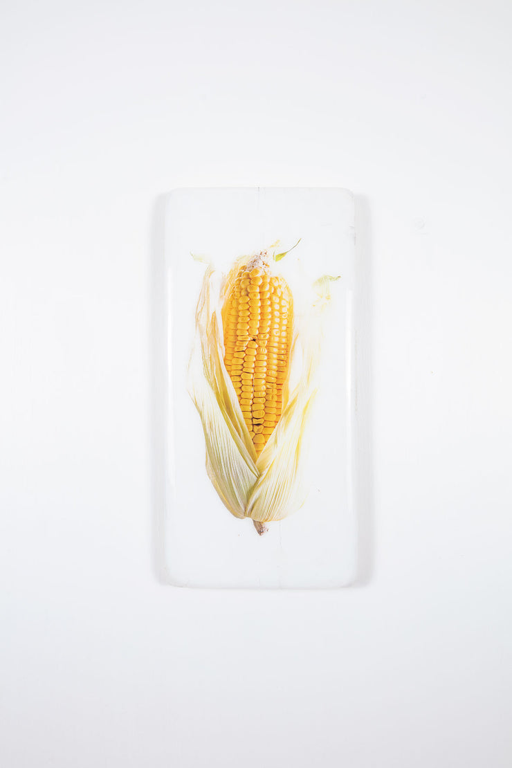 Corn (20cm x 40cm)