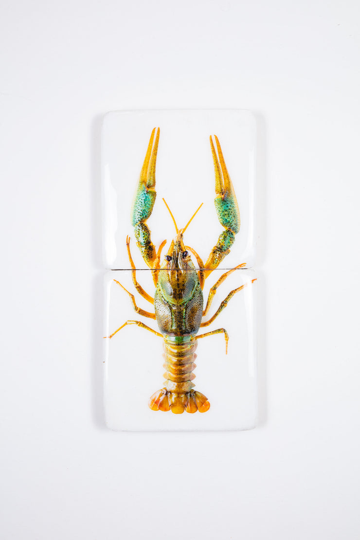Crayfish *2 (20cm x 40cm)