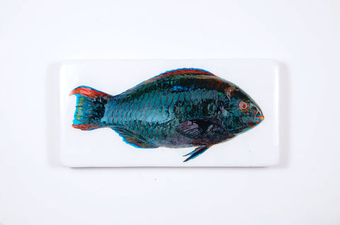 Dark green parrot fish (40cm x 20cm)