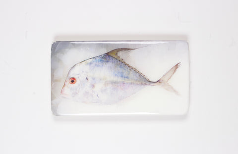 Diamond trevally (35cm x 20cm)