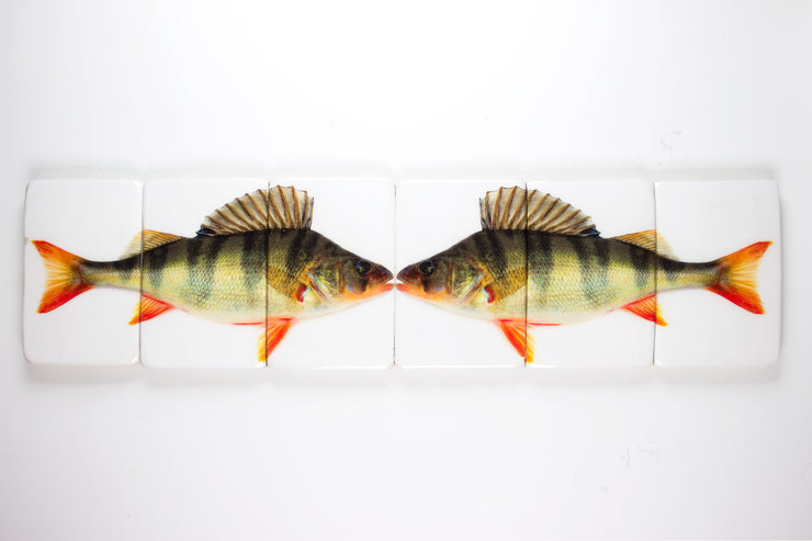 Double fresh water bass (120cm x 29cm)