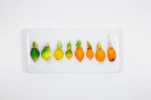 Eight passion fruits (40cm x 20cm)