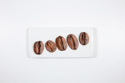 Five coffee beans (40cm x 20cm)