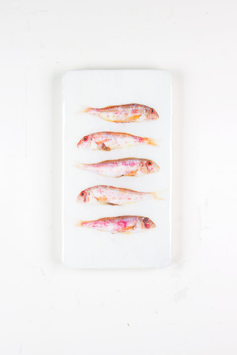 Five spanish red mullets (20cm x 35cm)