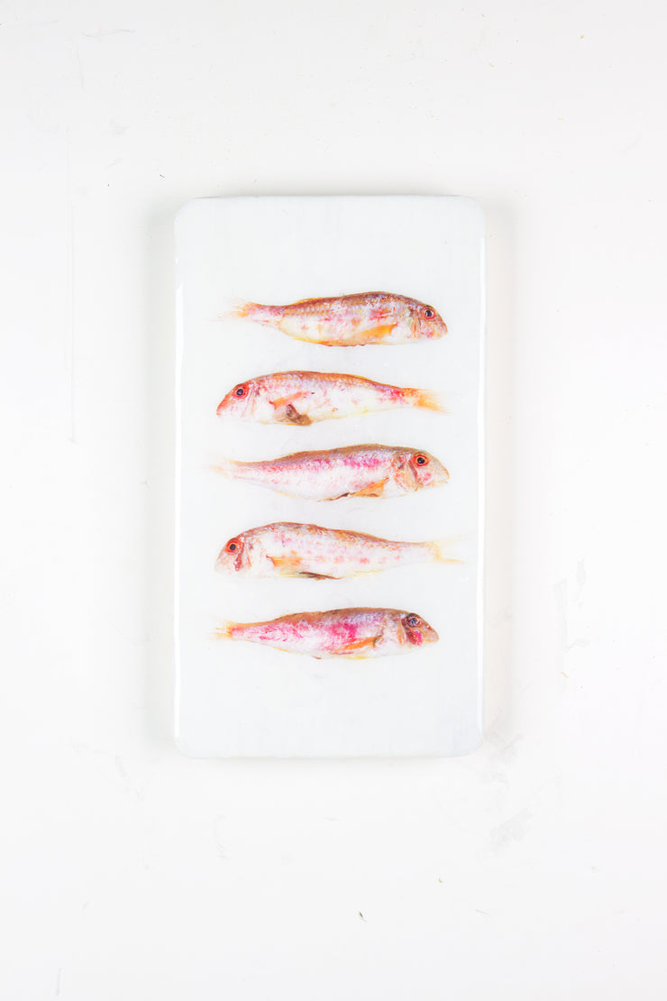 Five spanish red mullets (20cm x 35cm)