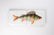 Fresh water bass (48cm x 20cm)
