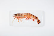 Giant shrimp (40cm x 20cm)