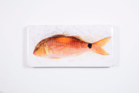 Goatfish (40cm x 20cm)