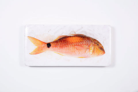 Goatfish (40cm x 20cm)