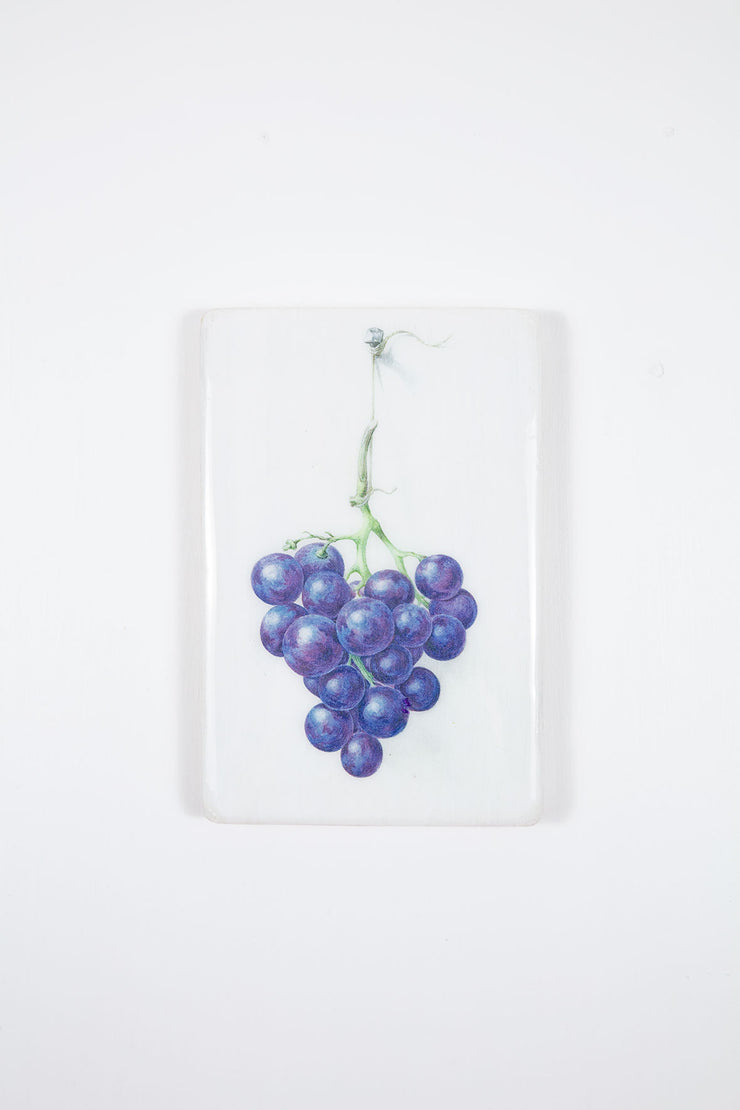 Rijksmuseum grapes (20cm x 29cm)