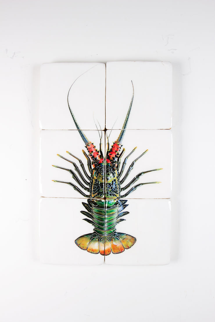 Green spiny lobster (40cm x 60cm)