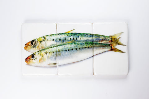 Green sardines (60cm x 29cm)