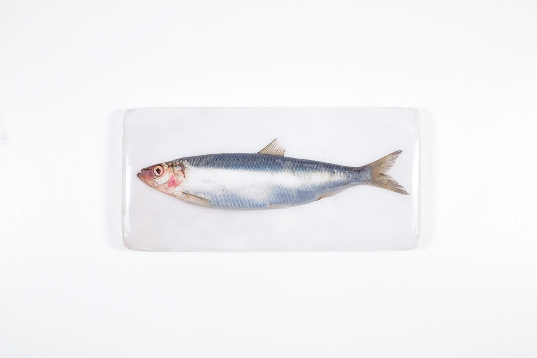 Herring-40x20-1L-kleiner_1080x