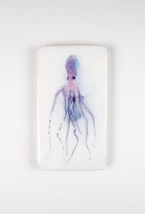 Octopus (20cm x 35cm)
