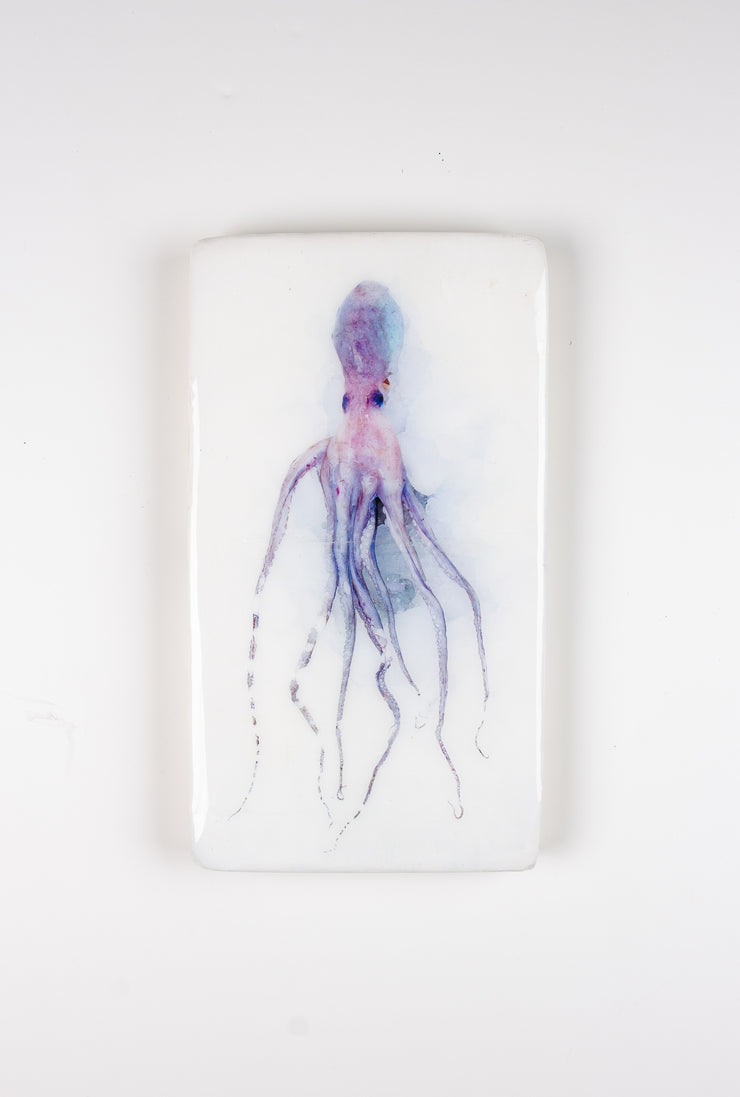 Octopus (20cm x 35cm)