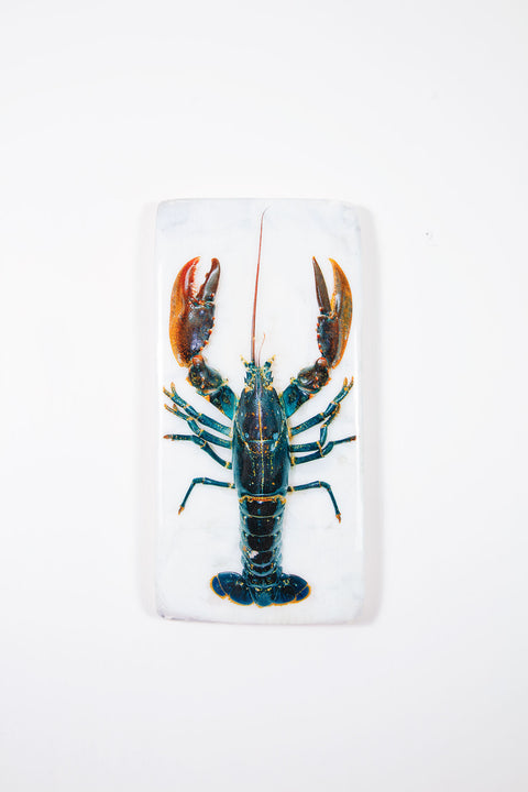 Oosterschelde lobster (20cm x 40cm)