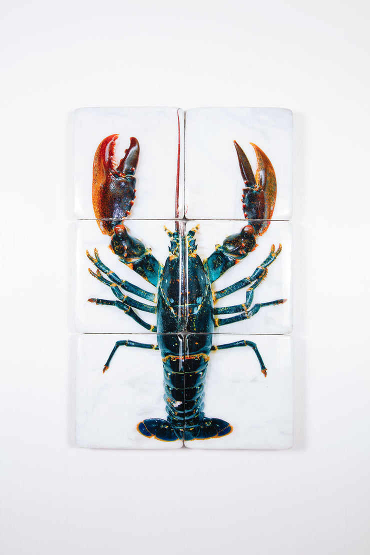 Oosterschelde lobster (40cm x 60cm)