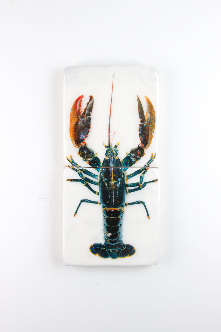 Oosterschelde lobster *2 (20cm x 40cm)