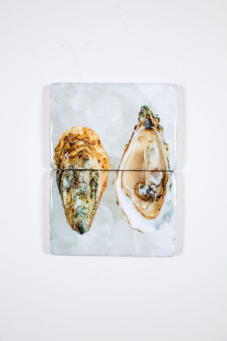 Two oysters (29cm x 40cm)