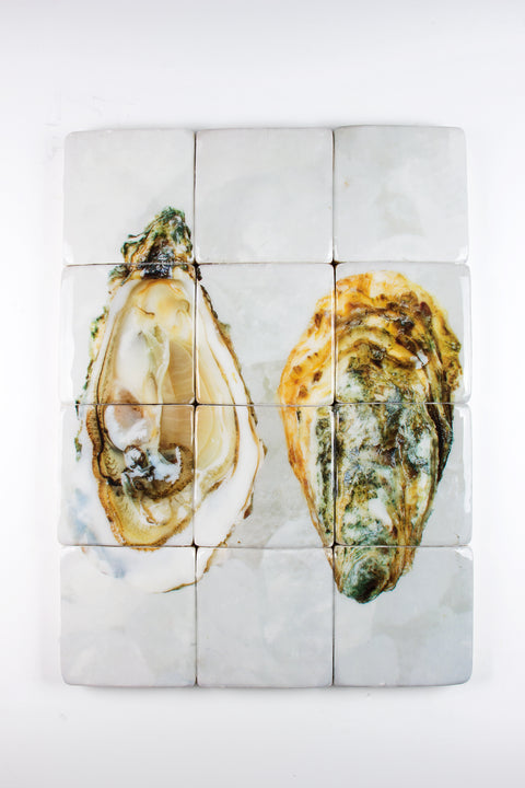 Two oysters (60cm x 80cm)