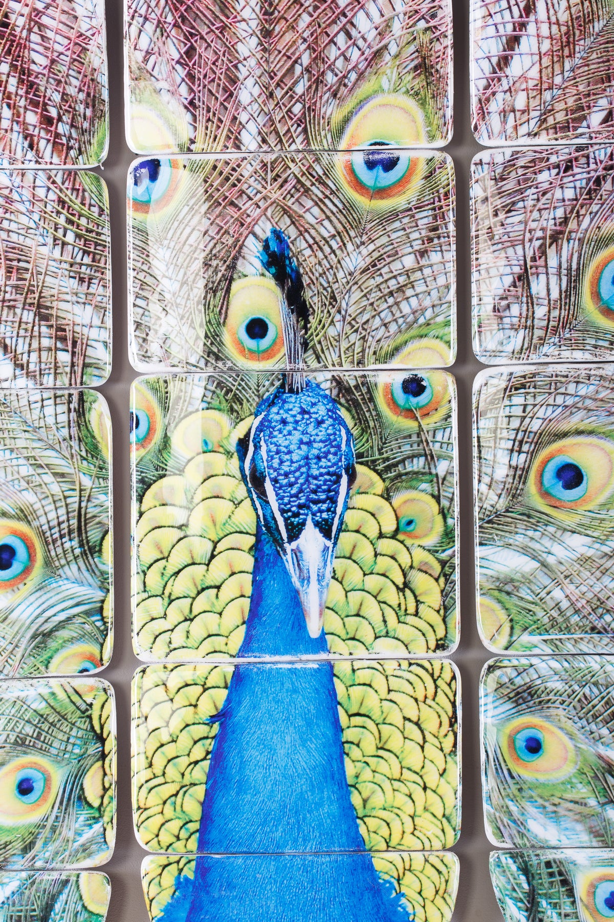 Peacock decks (60cm x 80cm) – Stigerwoods