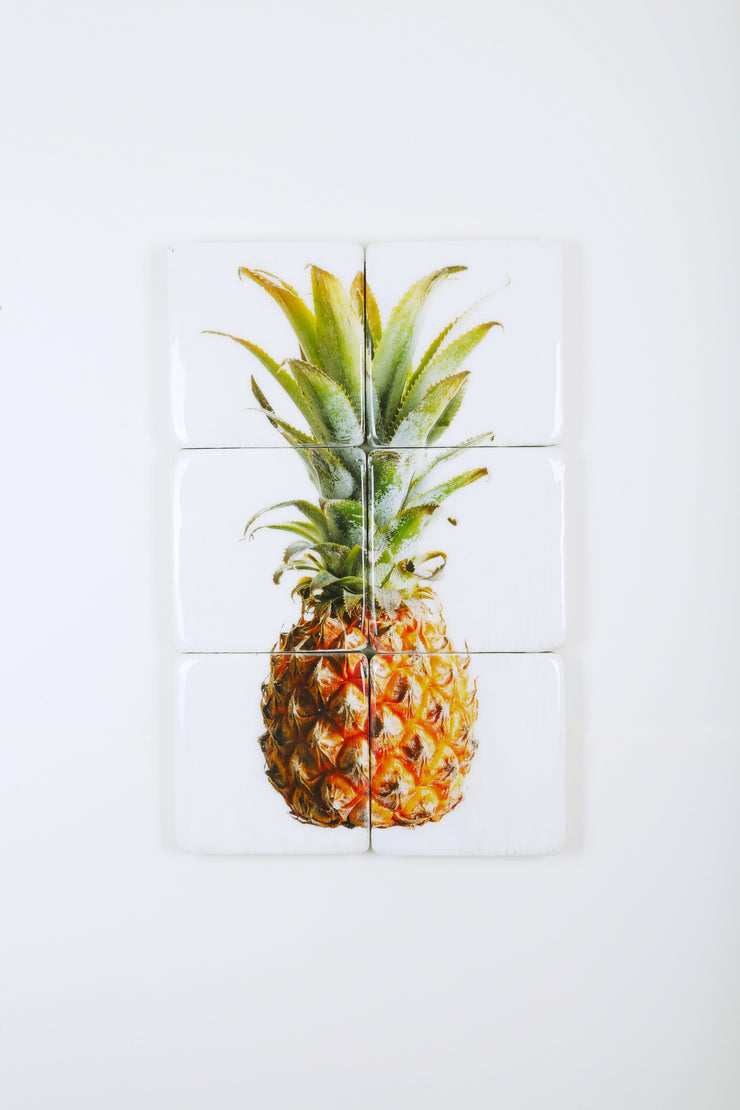 Pineapple (40cm x 60cm)