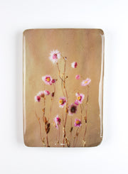 Pink Rhodanthe #5 (20cm x 29cm)