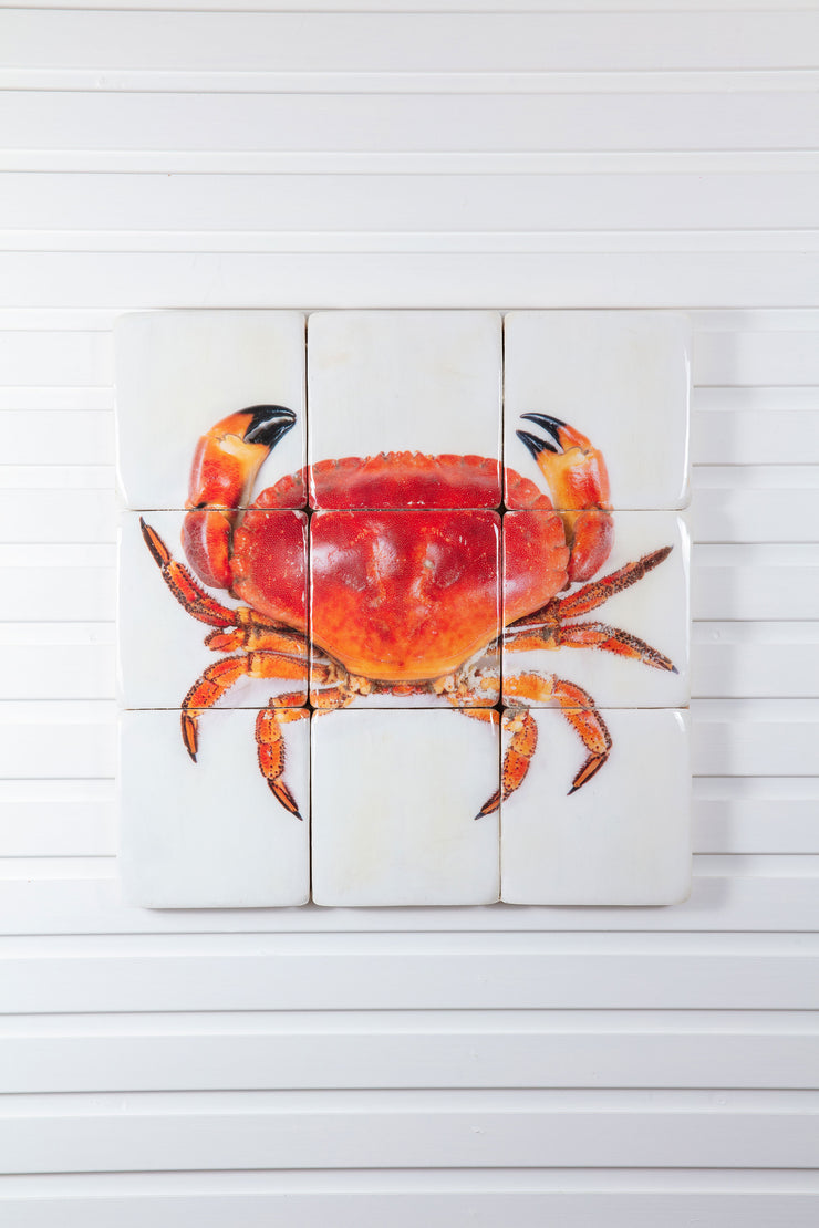 Portugese crab (60cm x 60cm)