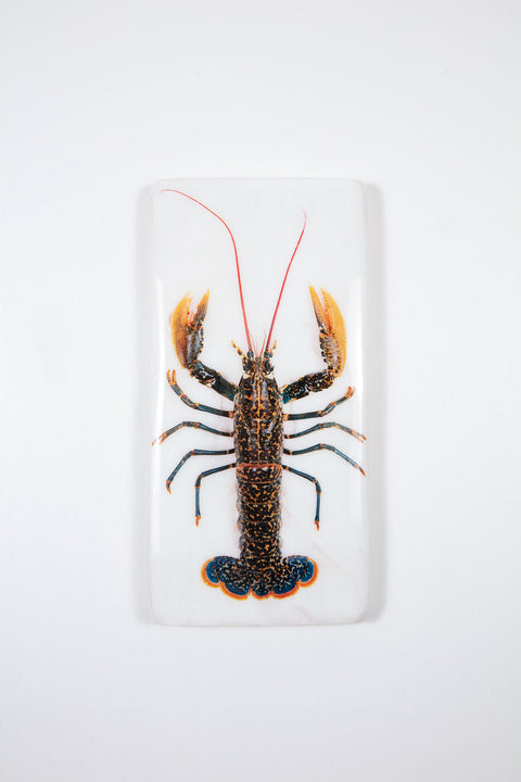 Portugese lobster (20cm x 40cm)