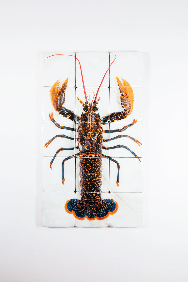 Portugese lobster (60cm x 100cm)