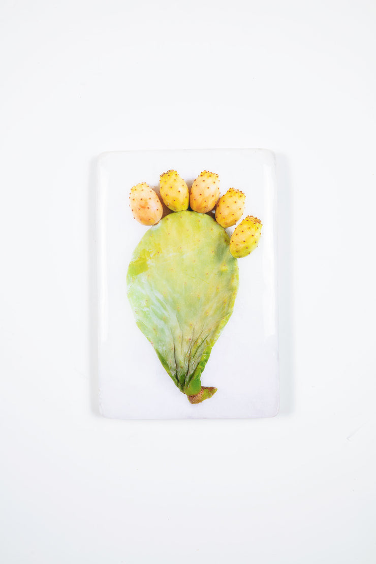 Prickly pear leaf (20cm x 29cm)