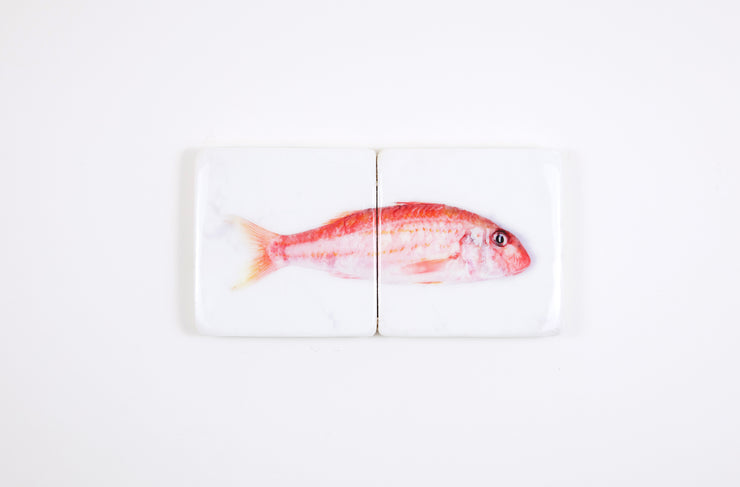 Red mullet on marble *2 (40cm x 20cm)