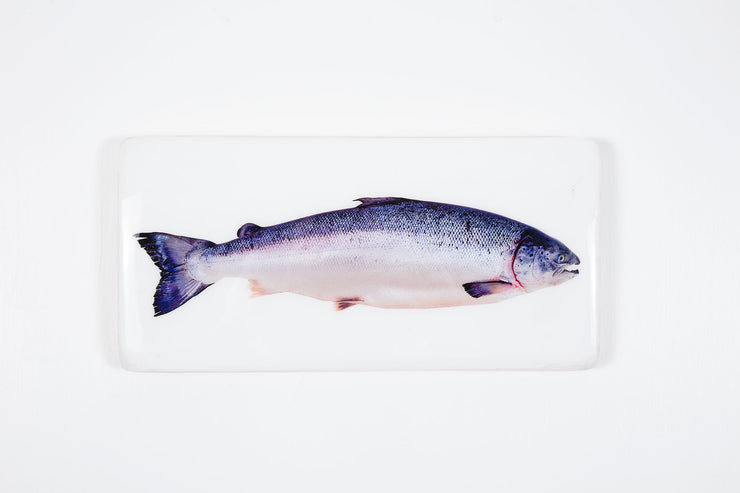 Salmon (40cm x 20cm)