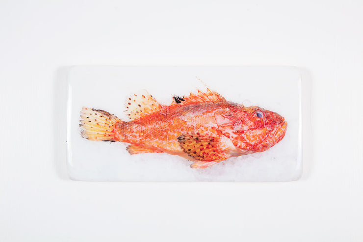 Scorpionfish (40cm x 20cm)