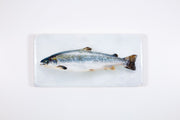 Scottish salmon (40cm x 20cm)