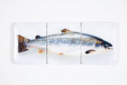 Scottish salmon (60cm x 24cm)