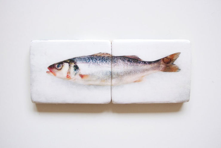 Sea bass (48cm x 20cm)
