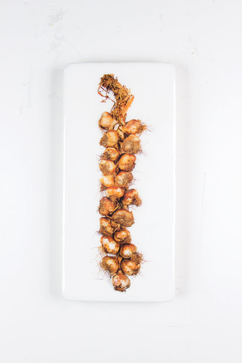 Smoked garlic string large (20cm x 40cm)