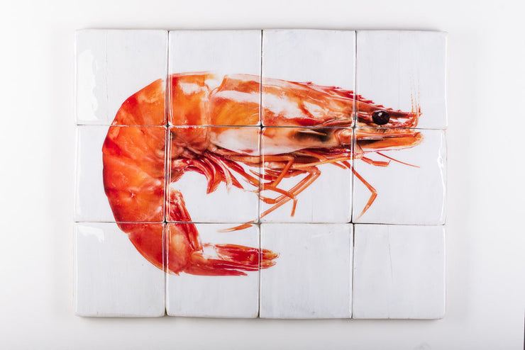 Cooked giant shrimp (80cm x 60cm)