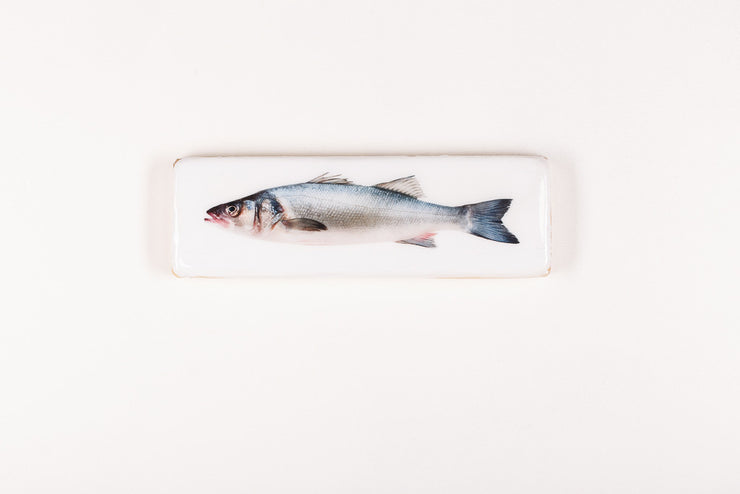Coloured sea bass (40cm x 13cm)