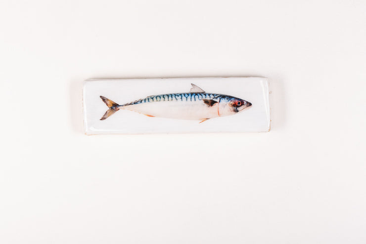 Coloured mackerel (40cm x 13cm)